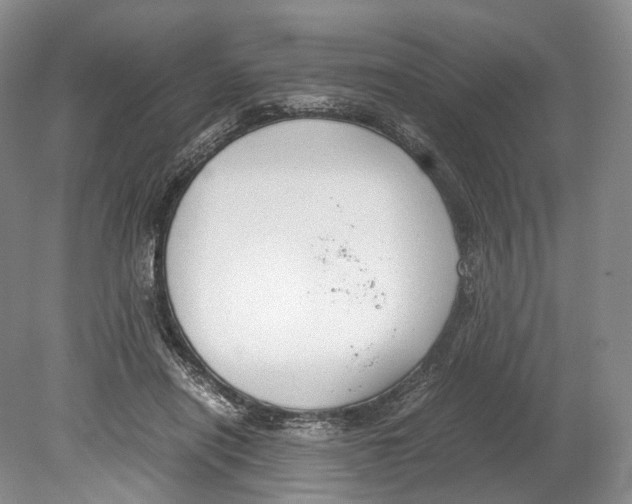 X0000078880454200612111744