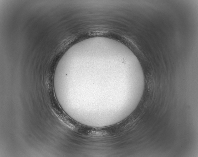 X0000078880455200612111744