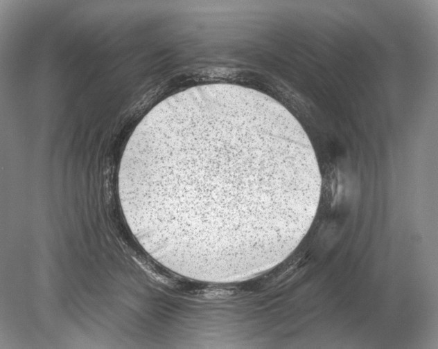 X0000078880462200612111744