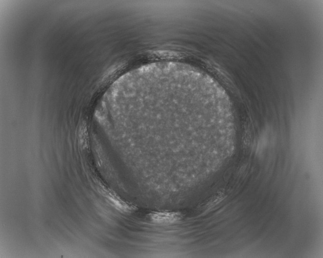 X0000078880465200612111744