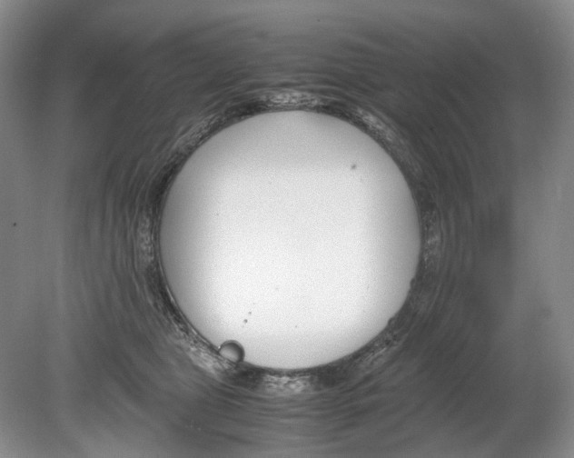 X0000078880469200612111744