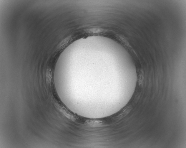 X0000078880476200612111744