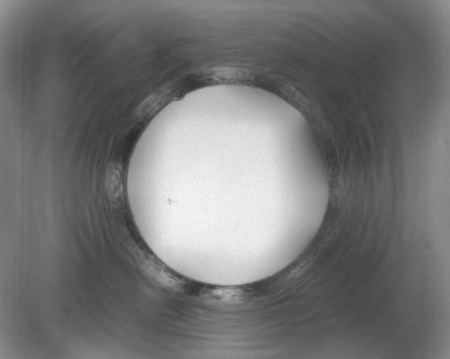 X0000078880478200612111744