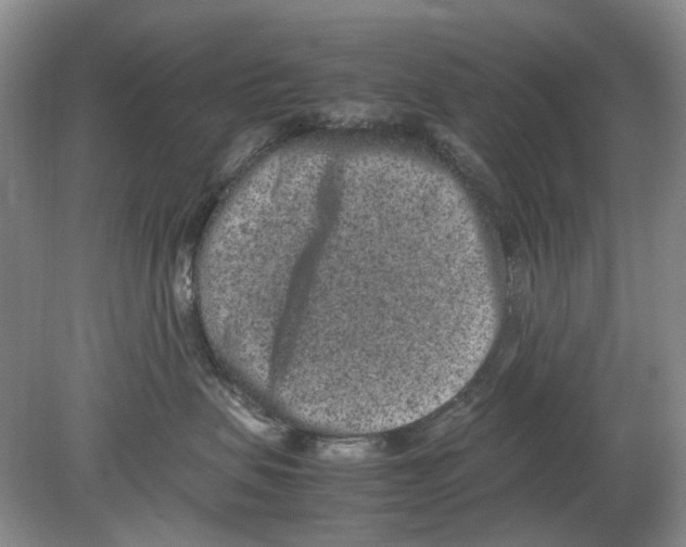 X0000078880479200612111744