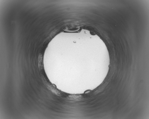 X0000078880480200612111744