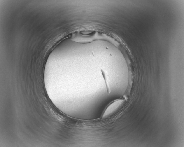 X0000078880481200612111743