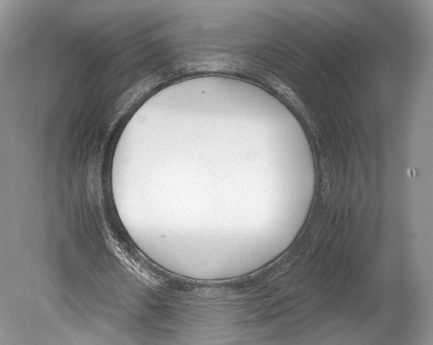 X0000078880482200612111743