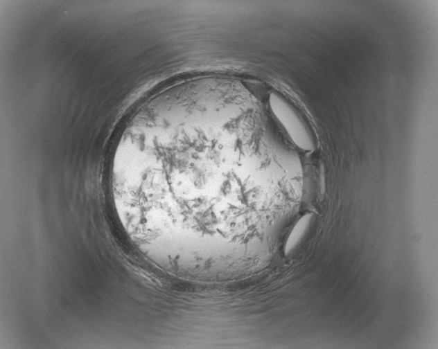 X0000078880483200612111743