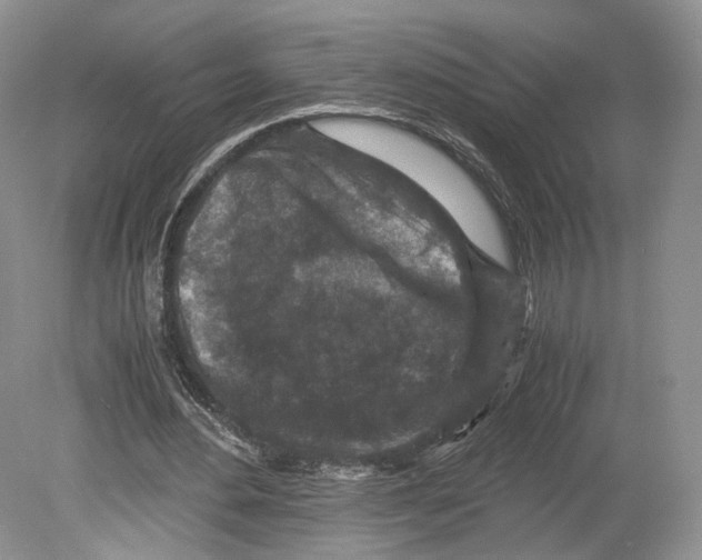 X0000078880484200612111743