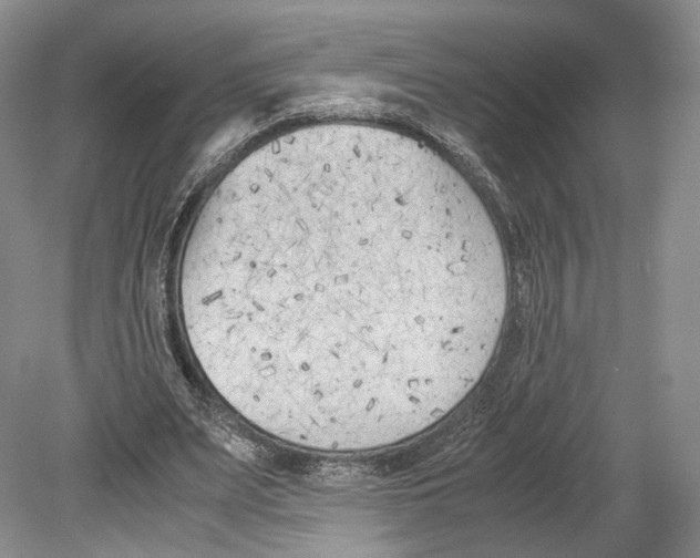 X0000078880487200612111743