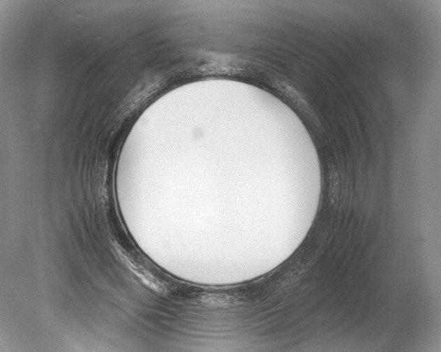 X0000078880490200612111743