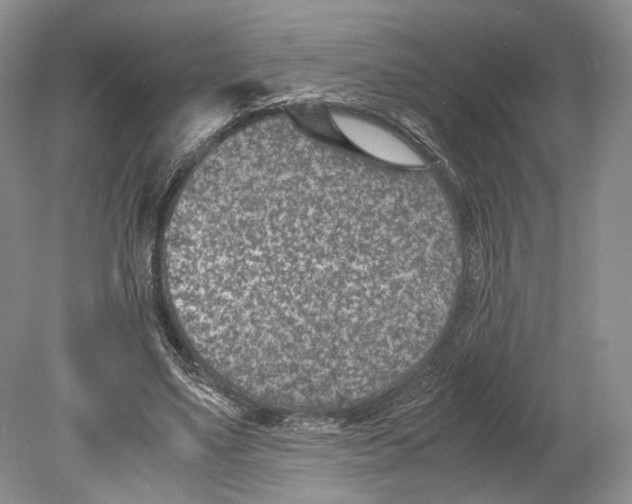 X0000078880491200612111743