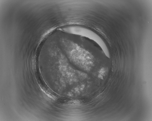 X0000078880492200612111743