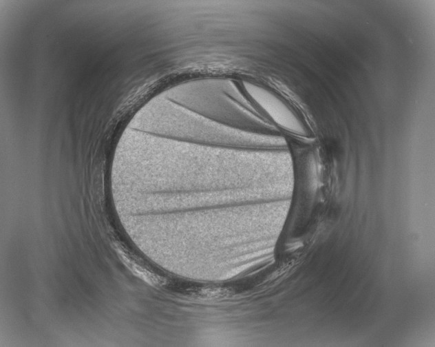 X0000078880493200612111743