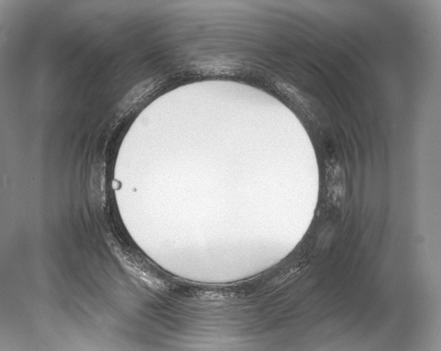 X0000078880494200612111743