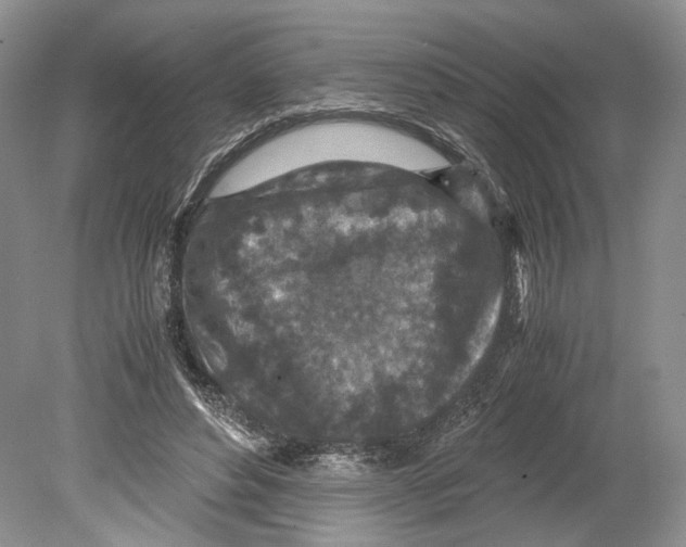 X0000078880496200612111743