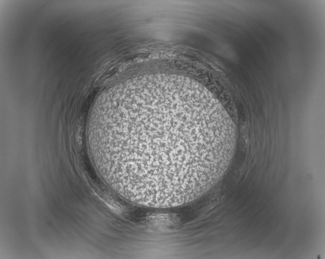 X0000078880499200612111743