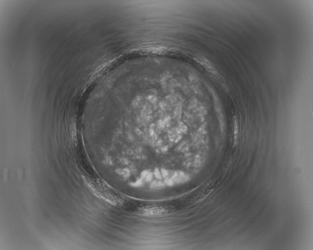 X0000078880500200612111743