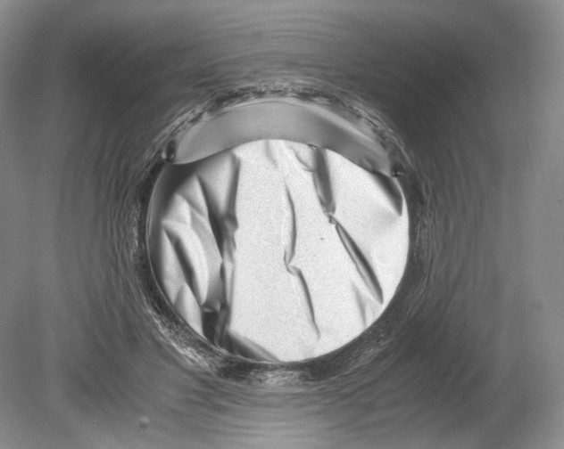 X0000078880501200612111743