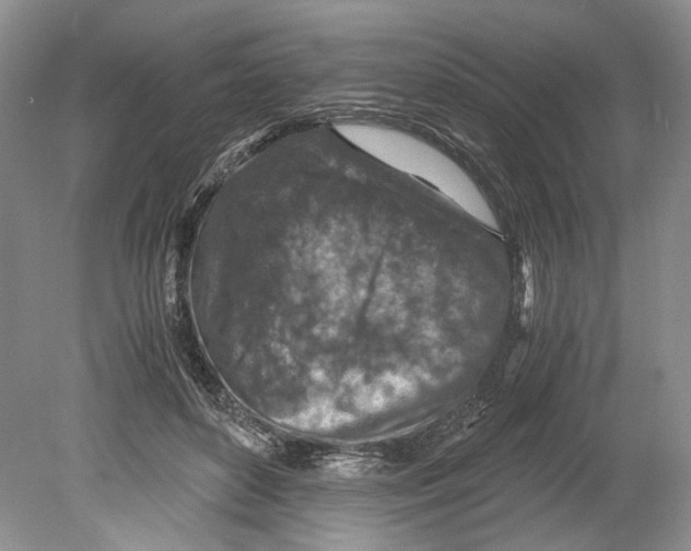 X0000078880504200612111743