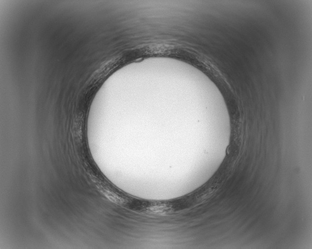 X0000078880505200612111743