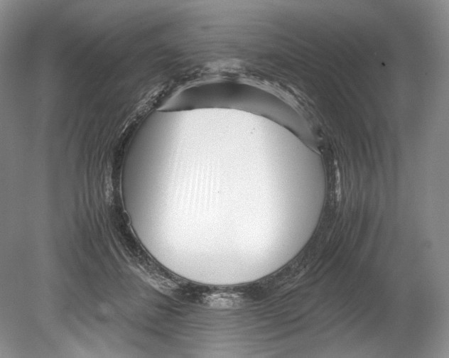 X0000078880508200612111743