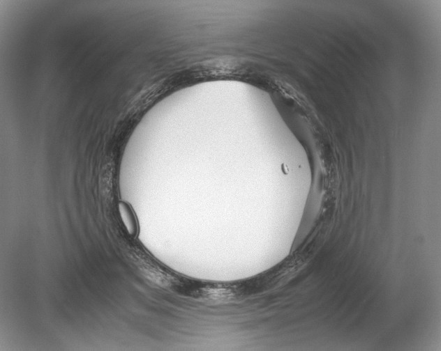 X0000078880509200612111743