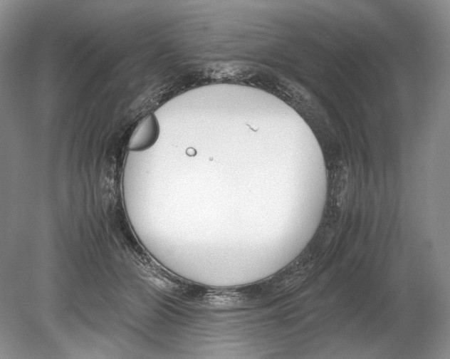 X0000078880510200612111743