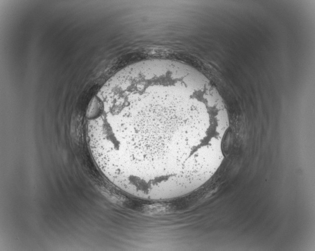 X0000078880511200612111743