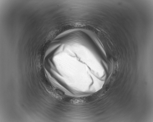 X0000078880512200612111743