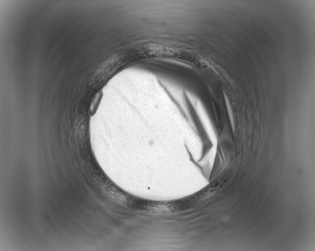 X0000078880513200612111743