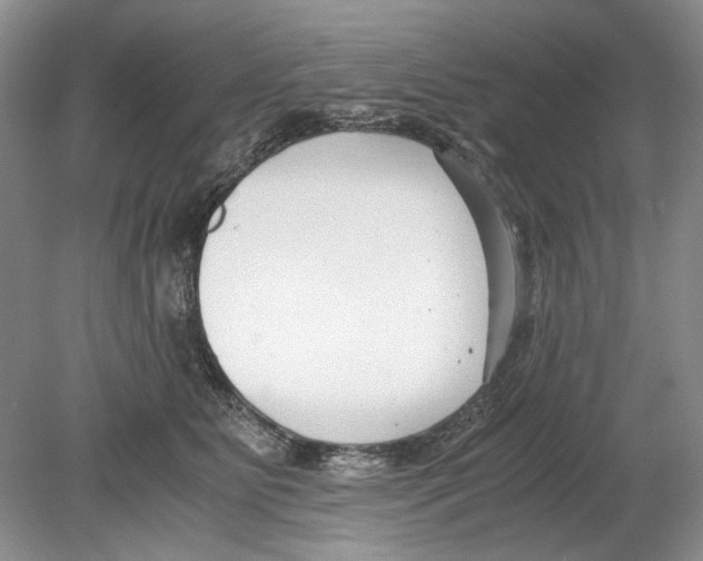 X0000078880515200612111743