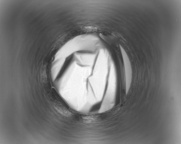 X0000078880516200612111743