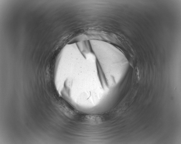 X0000078880520200612111743