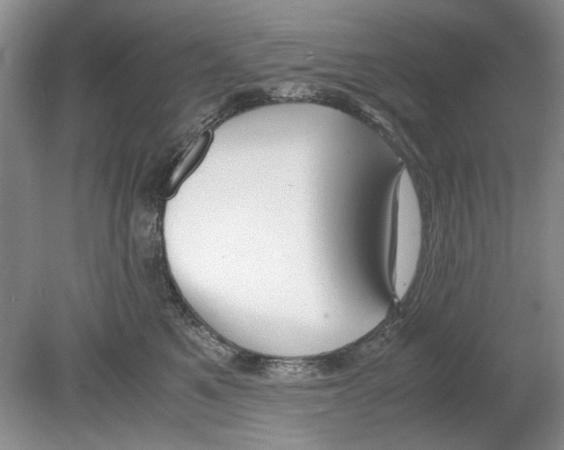 X0000078880521200612111743