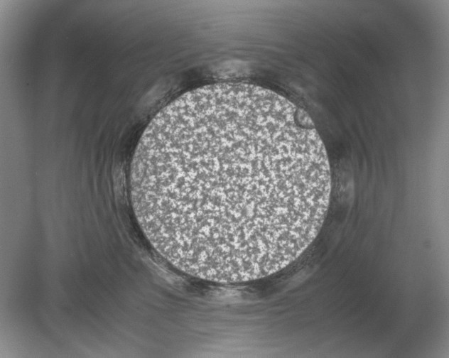 X0000078880523200612111743