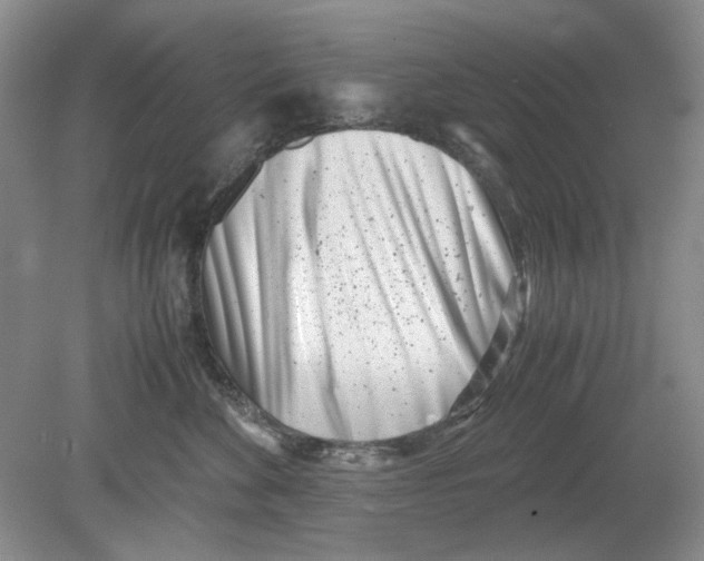 X0000078880524200612111742