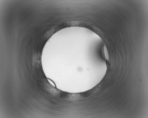 X0000078880525200612111742