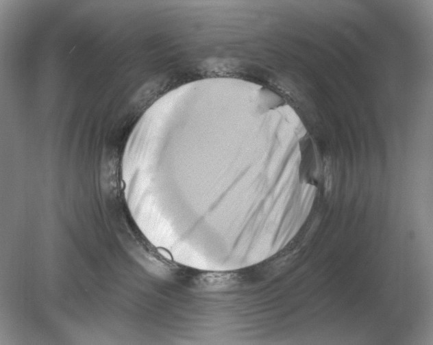 X0000078880526200612111742