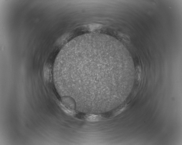 X0000078880527200612111742