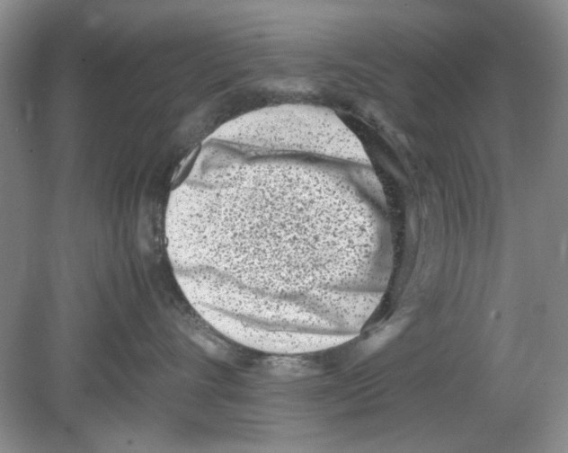 X0000078880528200612111742