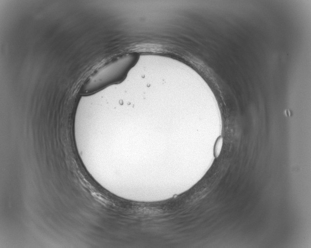 X0000078880529200612111742