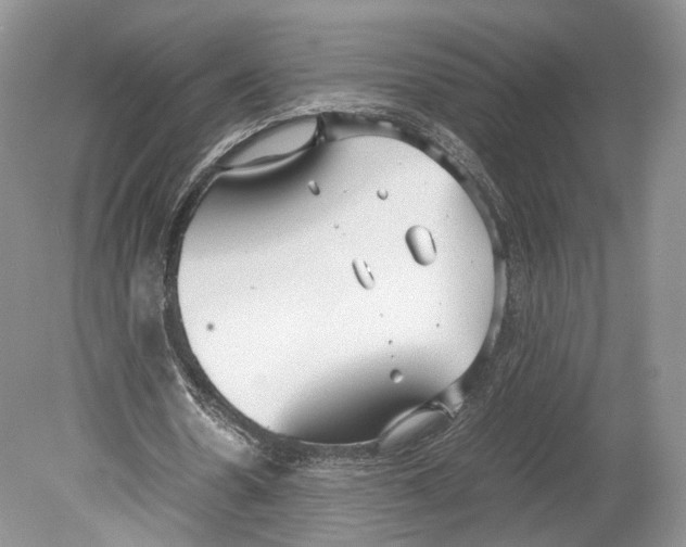 X0000078880530200612111742