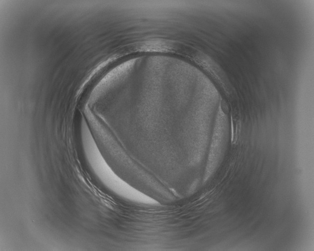 X0000078880531200612111742