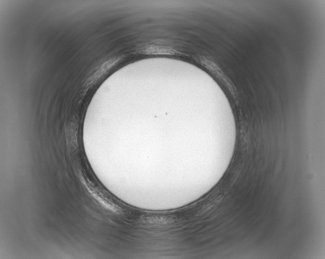 X0000078880533200612111742