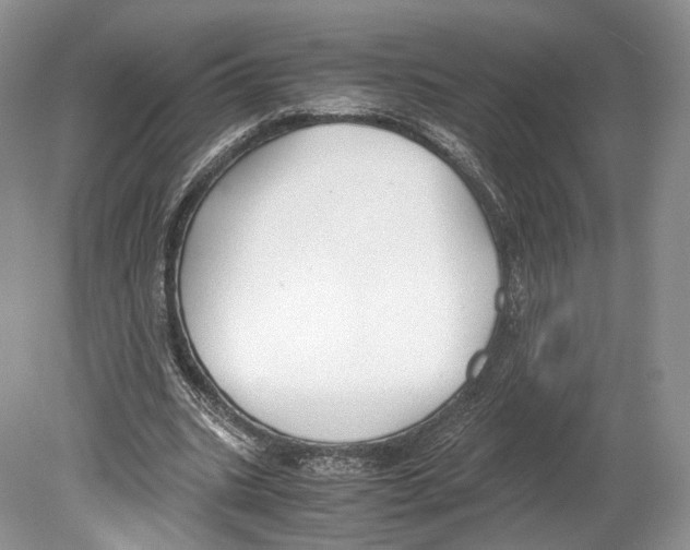 X0000078880535200612111742