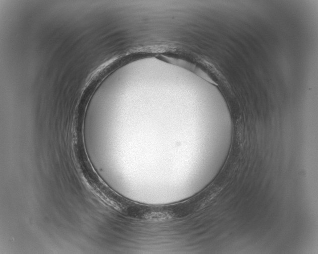 X0000078880536200612111742