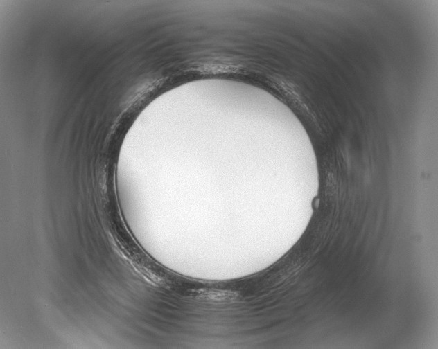 X0000078880539200612111742