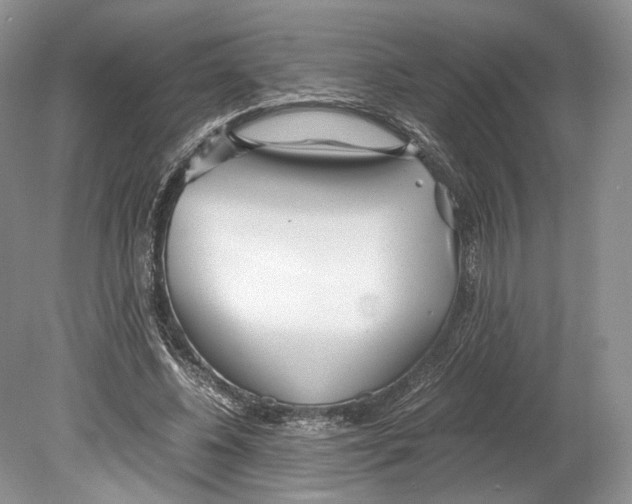 X0000078880540200612111742