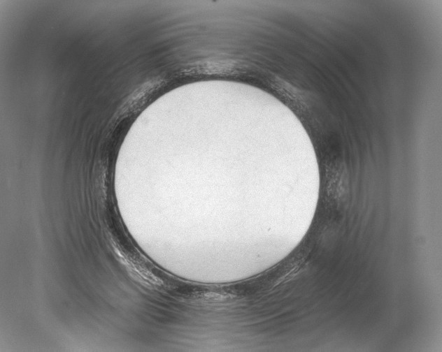 X0000078880542200612111742